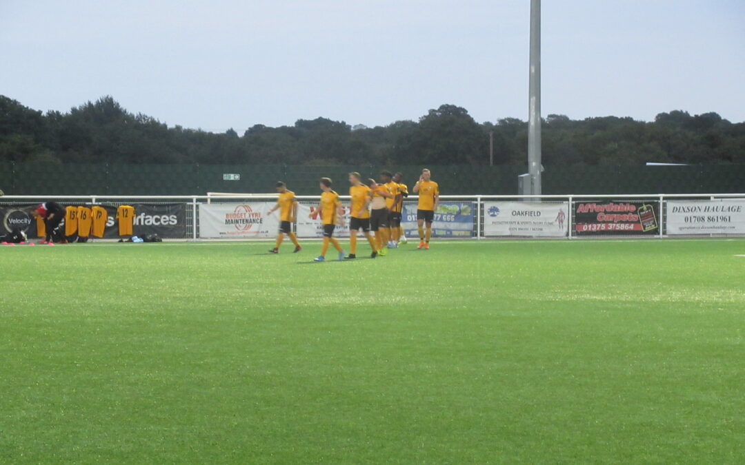 Pre-Season Friendly – 1/9/20 – Aveley 1 Cray Wanderers 1