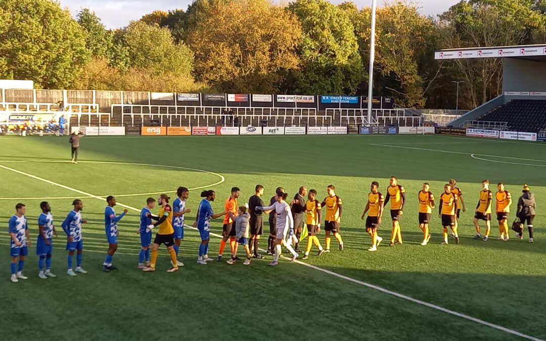 Cray Wanderers 0 Wingate & Finchley 1 – Isthmian Premier, Saturday 19th November, Match Report
