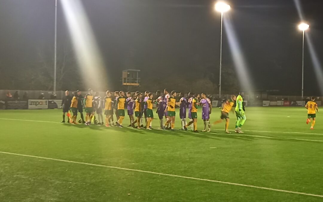 Horsham 2 Cray Wanderers 2 – Isthmian Premier, Tues 22nd November – Match Report