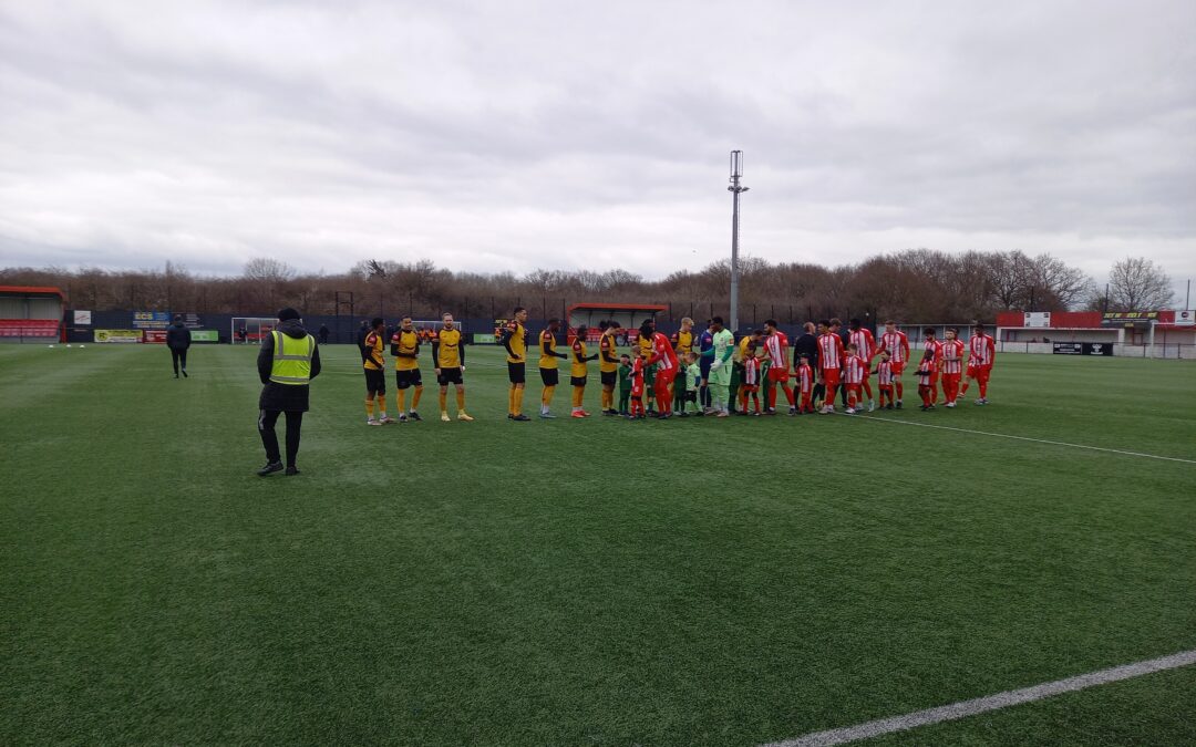 Bowers & Pitsea 1 Cray Wanderers 2 – Isthmian Premier, Saturday 4th March – Match Report