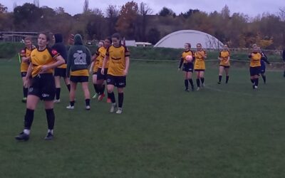 Cray Wanderers Women 3 Kings Hill Women 1 – Kent FA Plate – 19/11/23 – Match Report