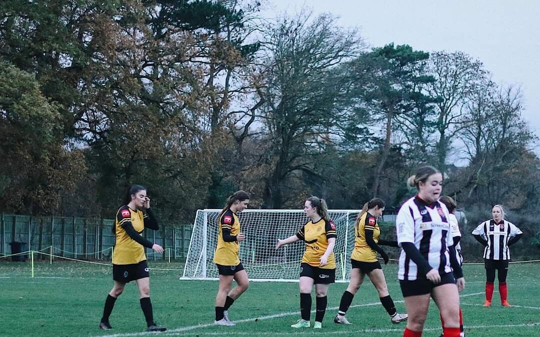 Cray Wanderers Women 8 Crayford Arrows 0 – SCEWL Division One West – 3/12/23 – Match Report