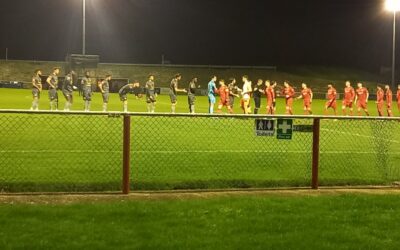 Whitehawk 2 Cray Wanderers 0 – Isthmian Premier, Tuesday 27th February – Match Report