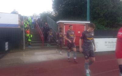 Hornchurch 2 Cray Wanderers 0 – Isthmian Premier – Tuesday 9th April, Match Report