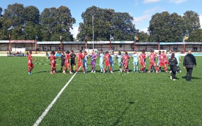 Carshalton Athletic 2 Cray Wanderers 2 – Isthmian Premier – Saturday 13th September – Match R