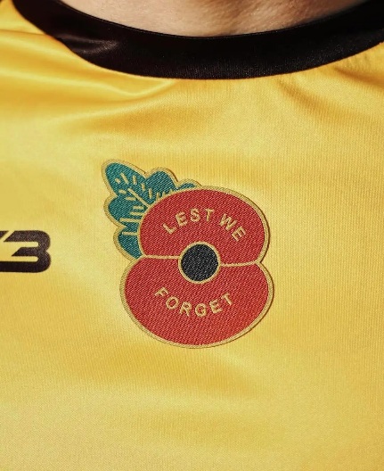 Cray Wanderers vs Chichester City – Saturday 8th November – Remembrance Day Information