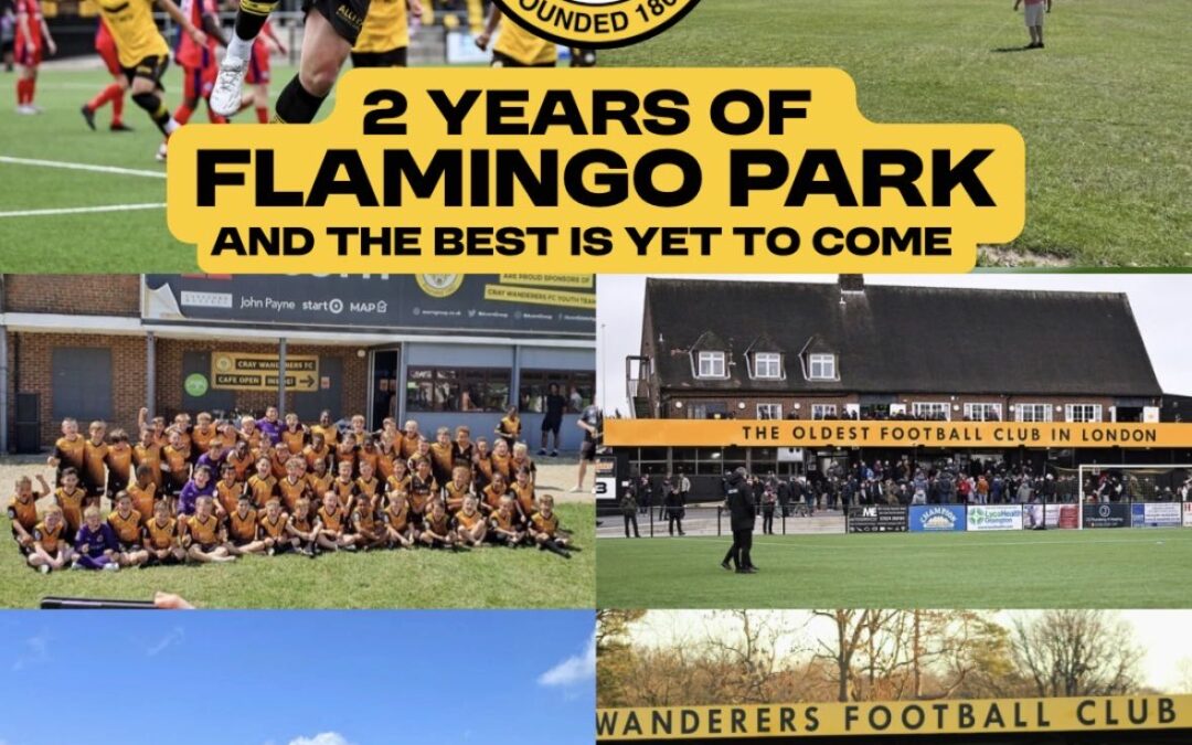 Two Years of Flamingo Park: Building South London’s Biggest Football Community